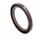 Pressure Oil Seal 55x72x7/7,5 BABSL FPM