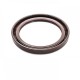 Pressure Oil Seal 55x72x7/7,5 BABSL FPM