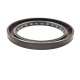 Pressure Oil Seal 58x80x8 BABSL FPM