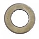 Pressure Oil Seal 60x106x7 BABSL10FX2 FPM