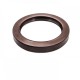 Pressure Oil Seal 60x80x10/10,5 BABSL FPM