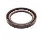 Pressure Oil Seal 60x80x10/10,5 BABSL FPM