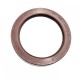 Pressure Oil Seal 60x80x10/10,5 BABSL FPM