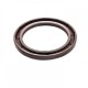 Pressure Oil Seal 60x80x7/7,5 BABSL FPM