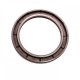 Pressure Oil Seal 60x80x7/7,5 BABSL FPM