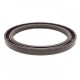 Pressure Oil Seal 70x90x7/7,5 BABSL FPM