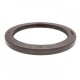 Pressure Oil Seal 70x90x7/7,5 BABSL FPM