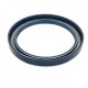 Pressure Oil Seal 95x120x12 BABSL NBR