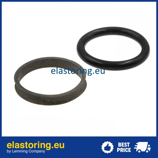 Rod seal S9DL 16x21x3 PTFE