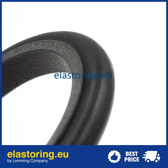 Rod seal S9DL 16x21x3 PTFE