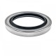 Rotary seal for air screw compressor B2PT 50x68x8 PTFE