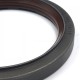 Oil seal 110x140x14/17 TCS