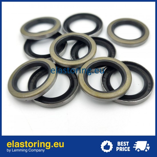 Oil seal 17x25x3 VM NBR