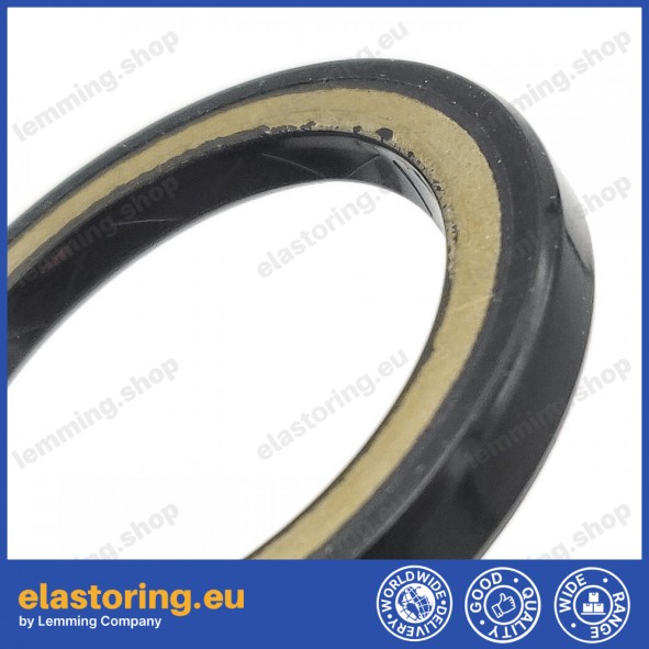 High pressure oil seal 28,6x39x4,9 BAHD NBR High pressure oil seal 28,6x39x4,9 BAHD NBR