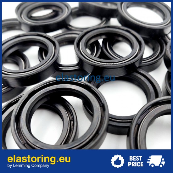 Oil seal 28x40x8 DC NBR