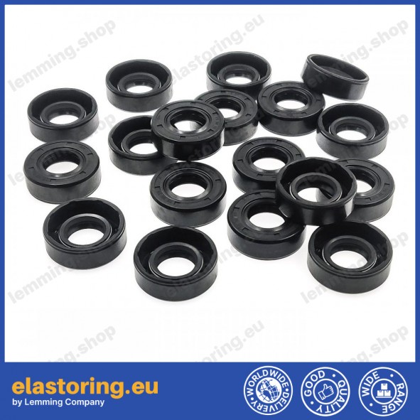 Oil seal WDR-AS 15x30x10 NBR Oil seal WDR-AS 15x30x10 NBR