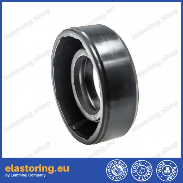 Oil seal WDR-AS 15x30x10 NBR Oil seal WDR-AS 15x30x10 NBR