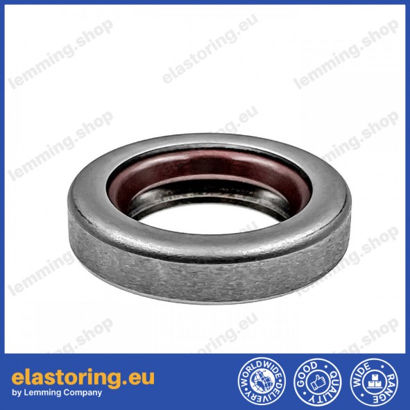 Wiper 20DR-20x33x7 FPM/SS Wiper 20DR-20x33x7 FPM/SS