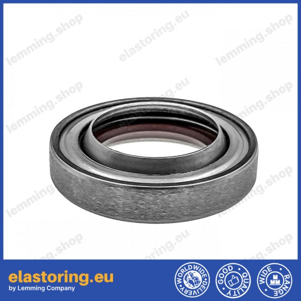 Wiper 20DR-20x33x7 FPM/SS Wiper 20DR-20x33x7 FPM/SS