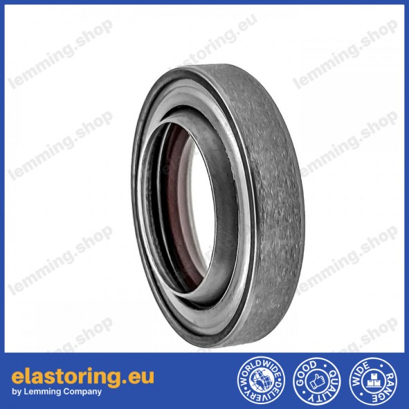 Wiper 20DR-20x33x7 FPM/SS Wiper 20DR-20x33x7 FPM/SS