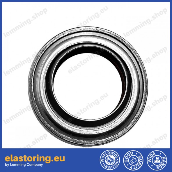 Wiper 20DR-20x33x7 FPM/SS Wiper 20DR-20x33x7 FPM/SS