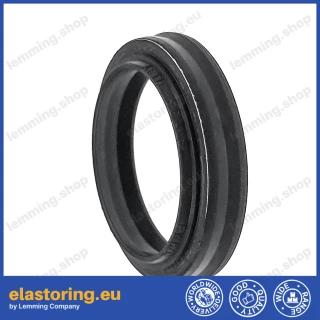 Wiper BWH/N 12x22x7/9,5 NG [2EBWHN13]