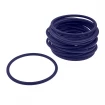 O-ring 31x3,53 PU C0
