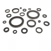Oil seal WDR-A 25x38x7 FPM Oil seal WDR-A 25x38x7 FPM