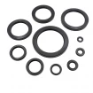Oil seal WDR-A 6x22x7 NBR Oil seal WDR-A 6x22x7 NBR