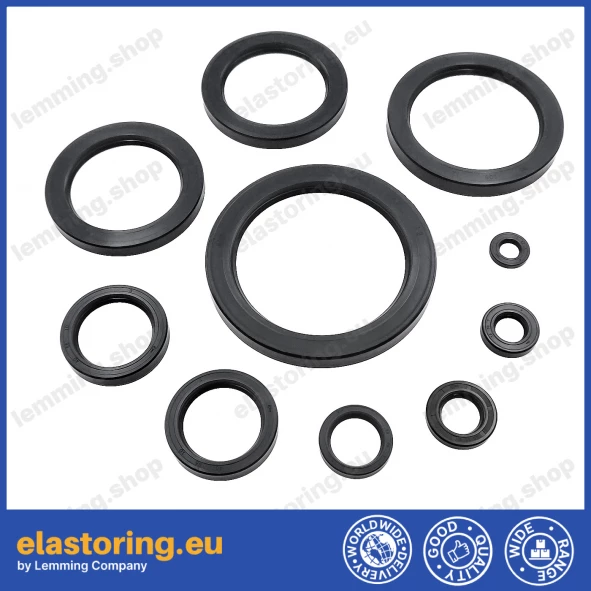 Oil seal WDR-A 6x22x7 NBR Oil seal WDR-A 6x22x7 NBR