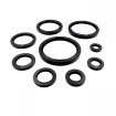 Oil seal WDR-AS 85x110x10 NBR Oil seal WDR-AS 85x110x10 NBR