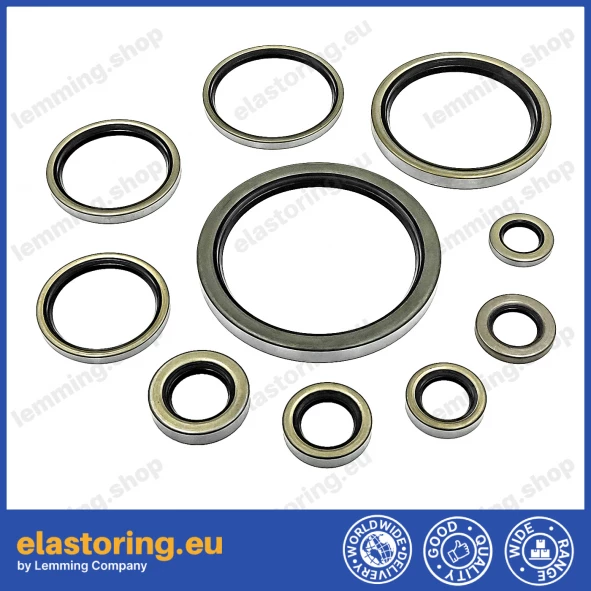 Oil seal WDR-B10 23,81x41,27x6,35 NBR [B1]