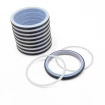 Piston seal PHP 50x36x9 CX [2EPHP092]