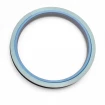 Piston seal PHP 50x36x9 CX [2EPHP092]