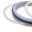 Piston seal PHP 50x36x9 CX [2EPHP092]