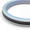 Piston seal PHP 50x36x9 CX [2EPHP092]
