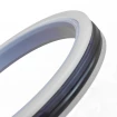 Piston seal PHP 50x36x9 CX [2EPHP092]