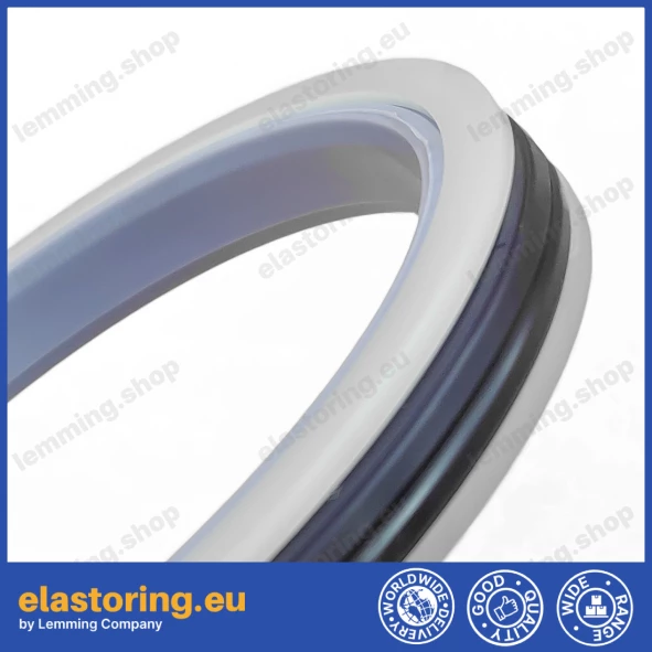 Piston seal PHP 50x36x9 CX [2EPHP092]