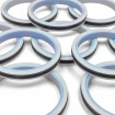 Piston seal PHP 50x36x9 CX [2EPHP092]