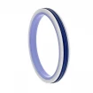 Piston seal PHP 50x36x9 CX [2EPHP092]