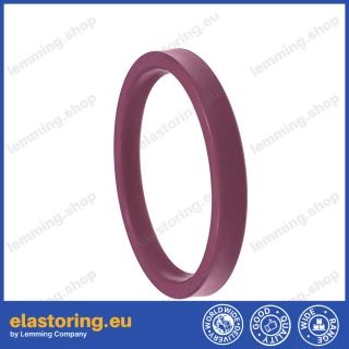 Rod seal XT200 28x38x8 PU