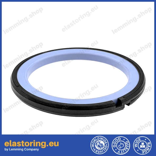 Piston seal PSZ 170x149x8,1 [2EPSZ036]