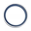 Piston seal 250x220x18,6 T18 PU