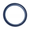 Piston seal 250x220x18,6 T18 PU