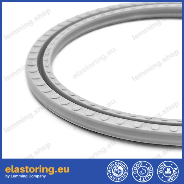 Pneumatic seal SPS 10x6,5x1,4 PU [2ESPS848]