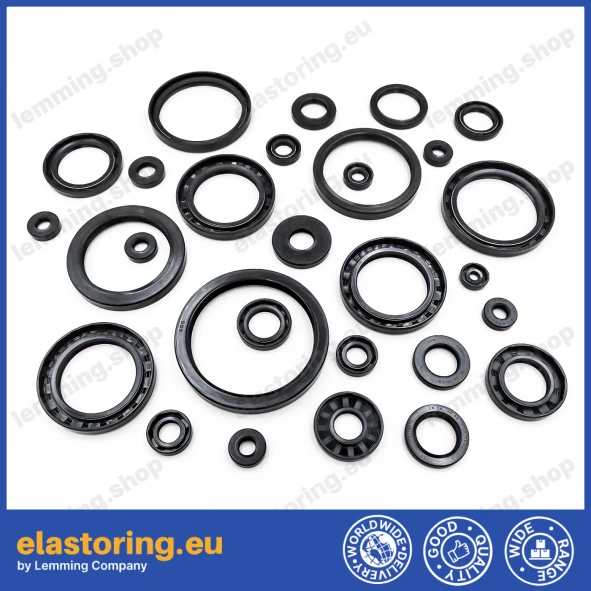 Pressure oil seal 12x22x7/7,5 BABSL NBR Pressure oil seal 12x22x7/7,5 BABSL NBR