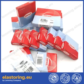 High pressure oil seal 20x35x6/6,5 BAHDVISL NBR