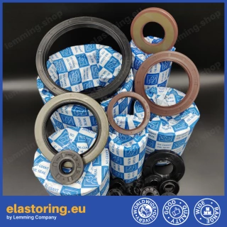 Pressure oil seal 28x42x6/6,5 BABSL FPM