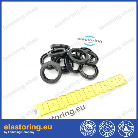 Oil seal WDR-A 17x25x4 NBR Oil seal WDR-A 17x25x4 NBR