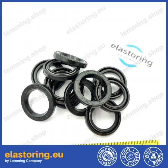 Oil seal WDR-A 17x25x4 NBR Oil seal WDR-A 17x25x4 NBR